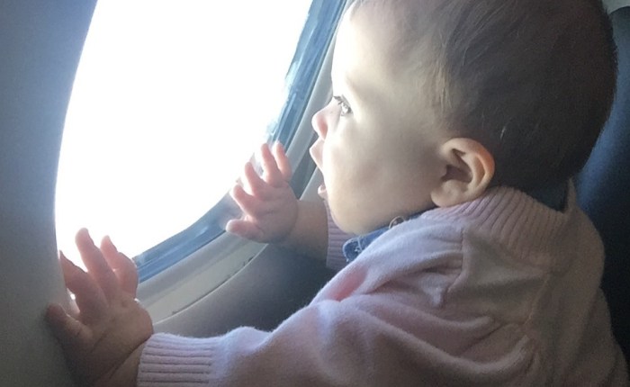 Embracing Wonderment